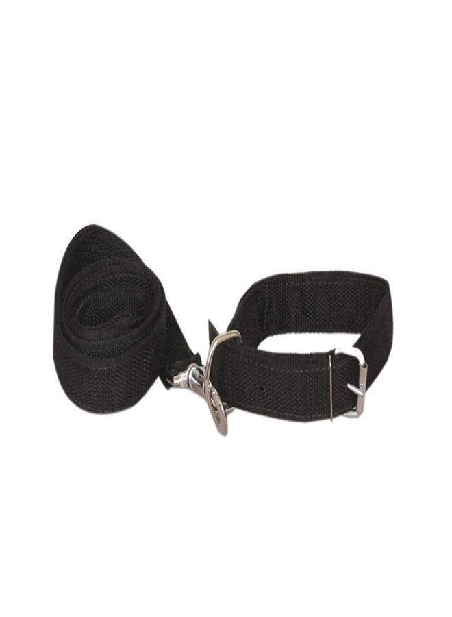 The DDS Store Standard Dog Collar and Leash- Medium Color May Vary - Image 2